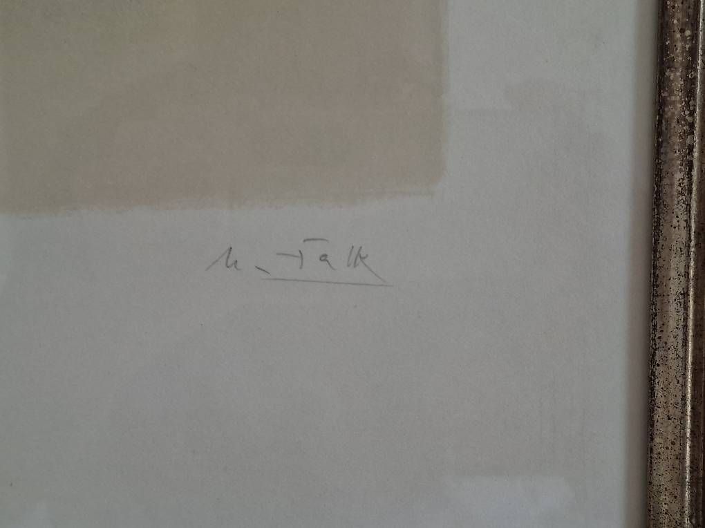 Grafica & Litografie: Farblithographie von Hans Falk – Usato da Wabern venduto da amo_pp26 2