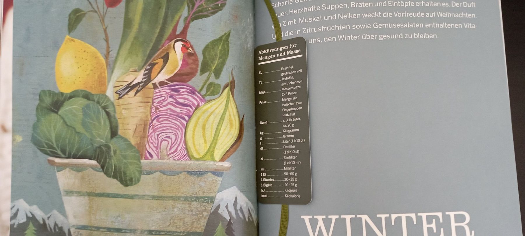 Libri: Migros - Green Gourmet – Usato da Allschwil venduto da pri_9lsr 4