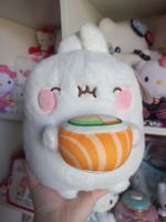 Molang Plüschtier NEU