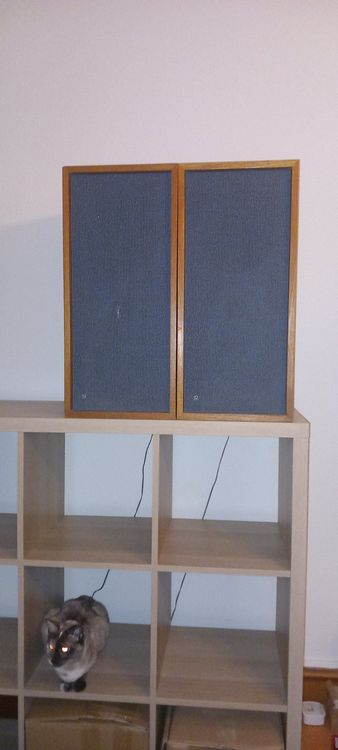 Lautsprecher B&O Beovox Type S 1