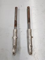 Suzuki RV 50 Gabel Tauchrohre Holmen