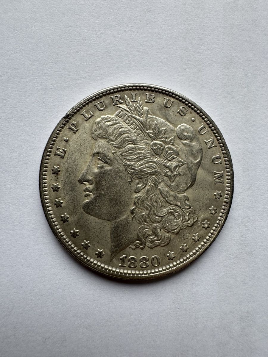 Tutti le monete: Morgan-Dollars aus den USA. – Usato da Gränichen venduto da onkel_xxl