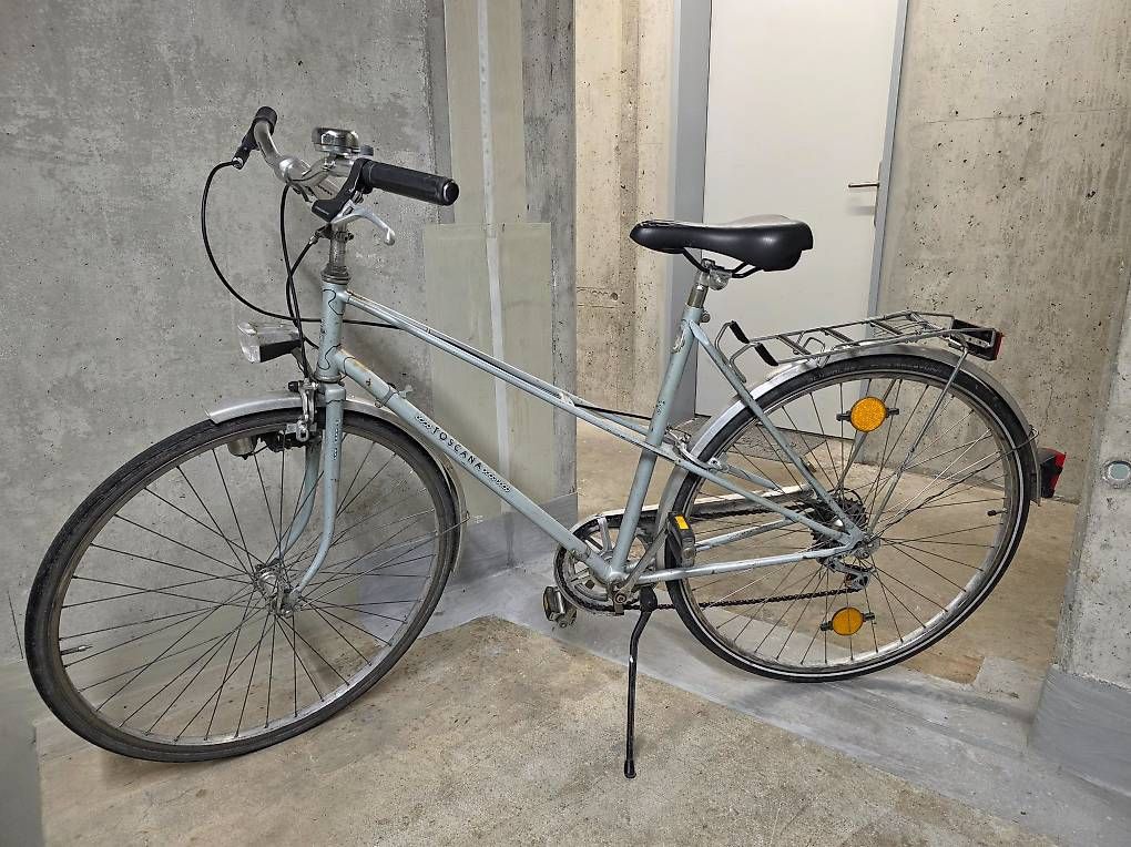 Biciclette: Stadt oder Bahnhof Velo ab Service – Usato da Grüningen venduto da Wennepen
