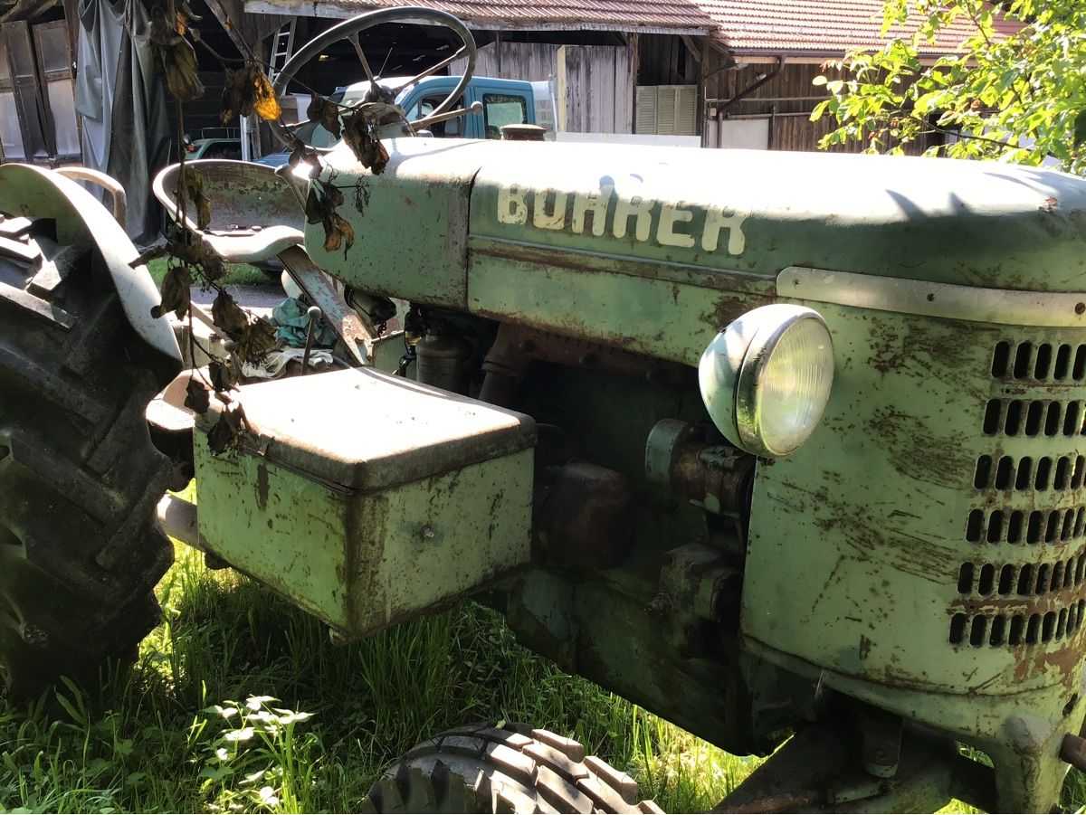Bührer Trattori: Bührer Traktor DD 3 – Usato da Wetzikon ZH venduto da jules1957 3