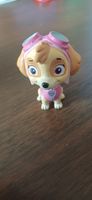 Paw Patrol tonnies