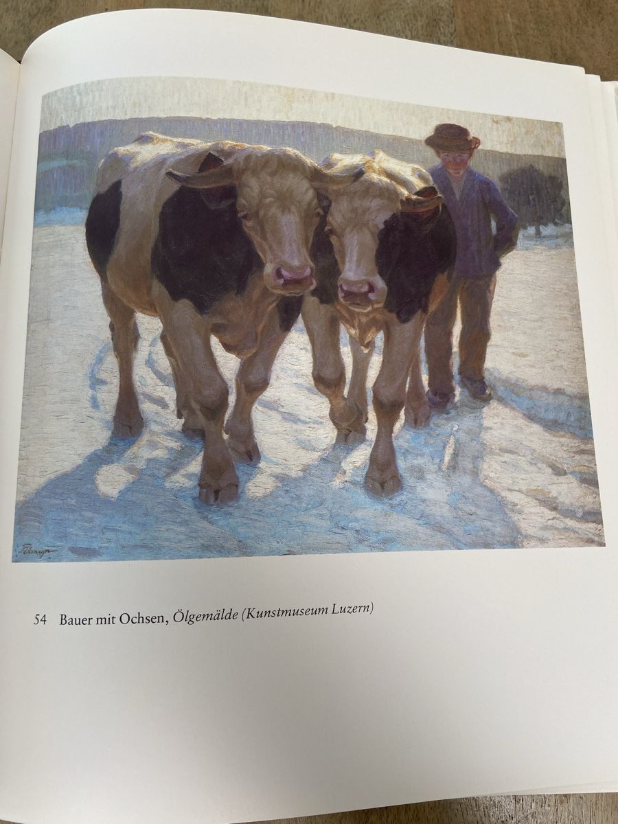 Libri: Franz Elmiger Ermensee  Maler Kunstbuch - Harlekin Verlag, – Usato da Luzern venduto da waterfront1 3