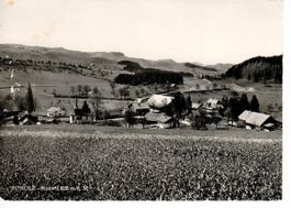 Buholz - Ruswil