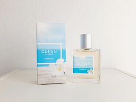 CLEAN Summer Day