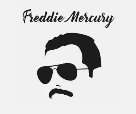 Brillen & Gläser: Freddie Mercury Sonnenbrille Queen – Gebraucht aus Ittigen von GTK