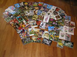 200 Gruss - Blumenkarten