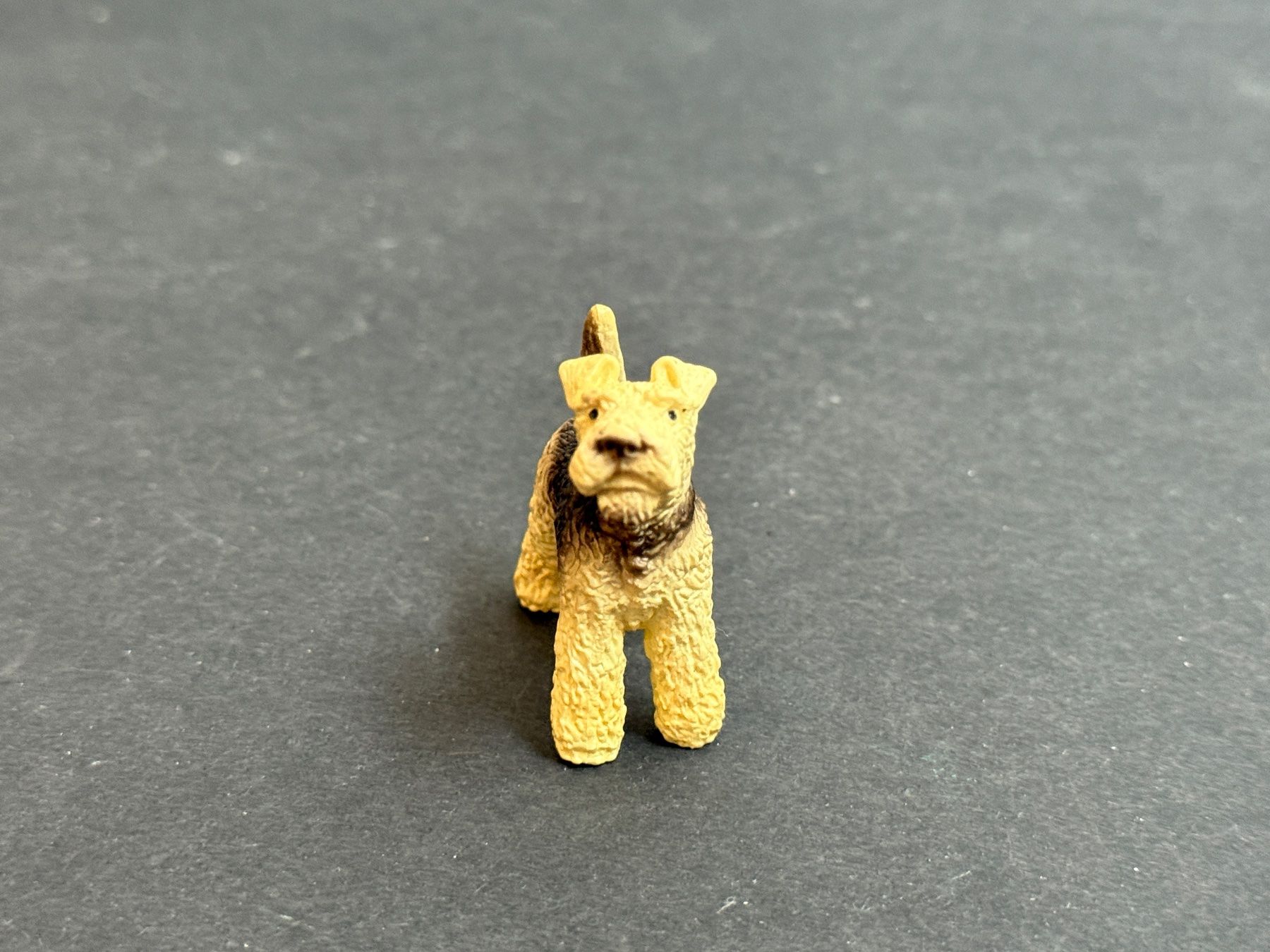 Schleich Statuette: Schleich 16338 Foxterrier Hund Terrier – Usato da Ennetbaden venduto da mapa05 4