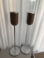 Beolab 8 Silver Cover Wood Oak