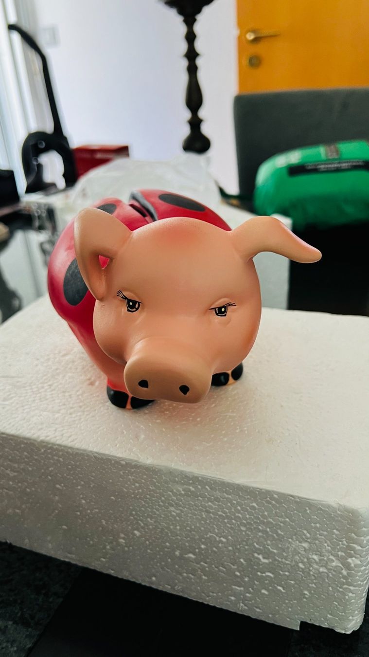 Spardosen: Sparschwein – Neu und originalverpackt aus Ehrendingen von Moeoesli 1
