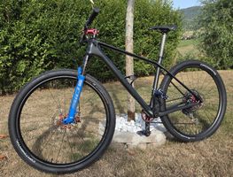 Canyon Ecxeed CF Custom