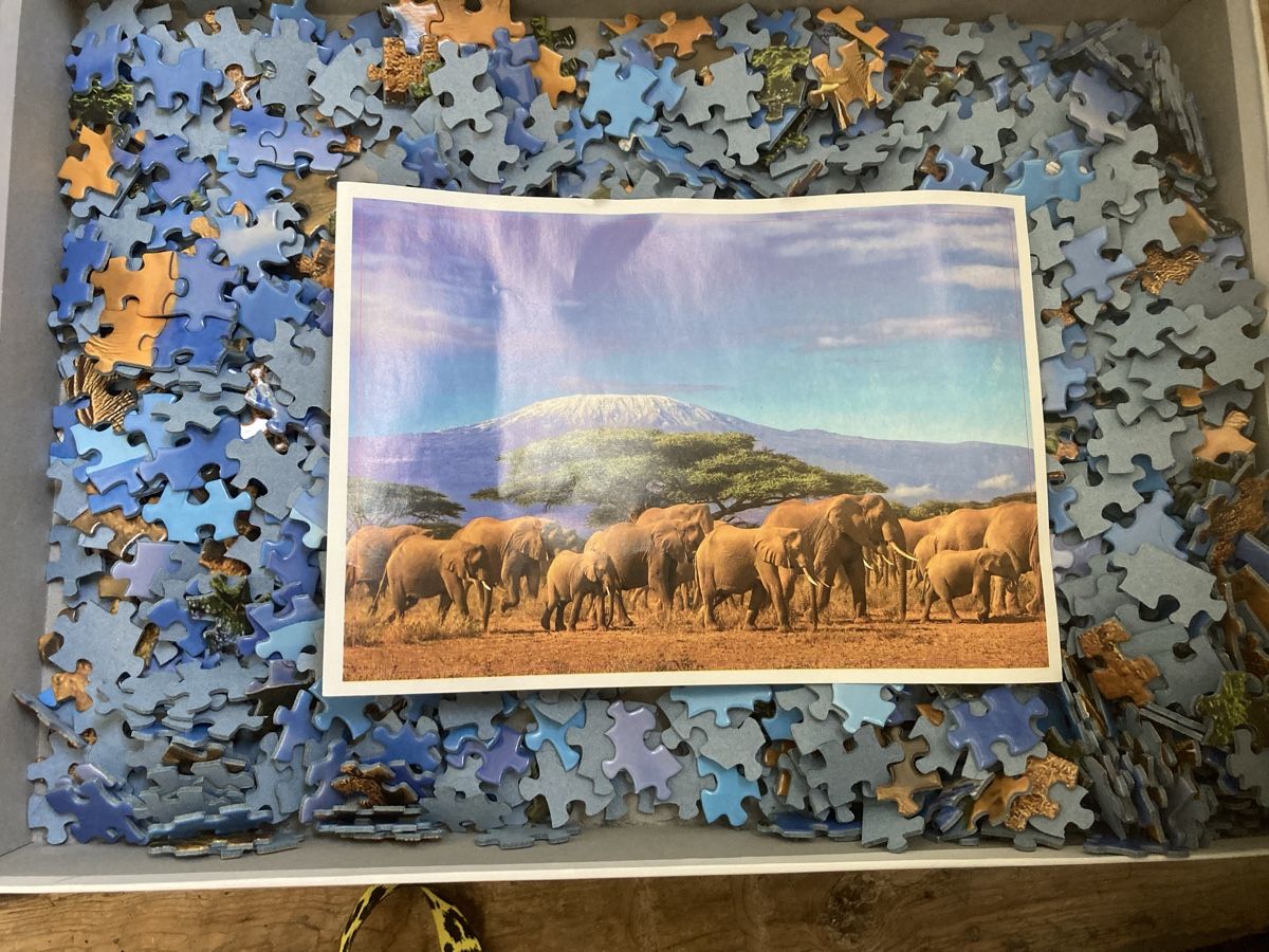 Puzzles: Elefantenherde Puzzle 1000Teile – Gebraucht aus horgen von dude123 1