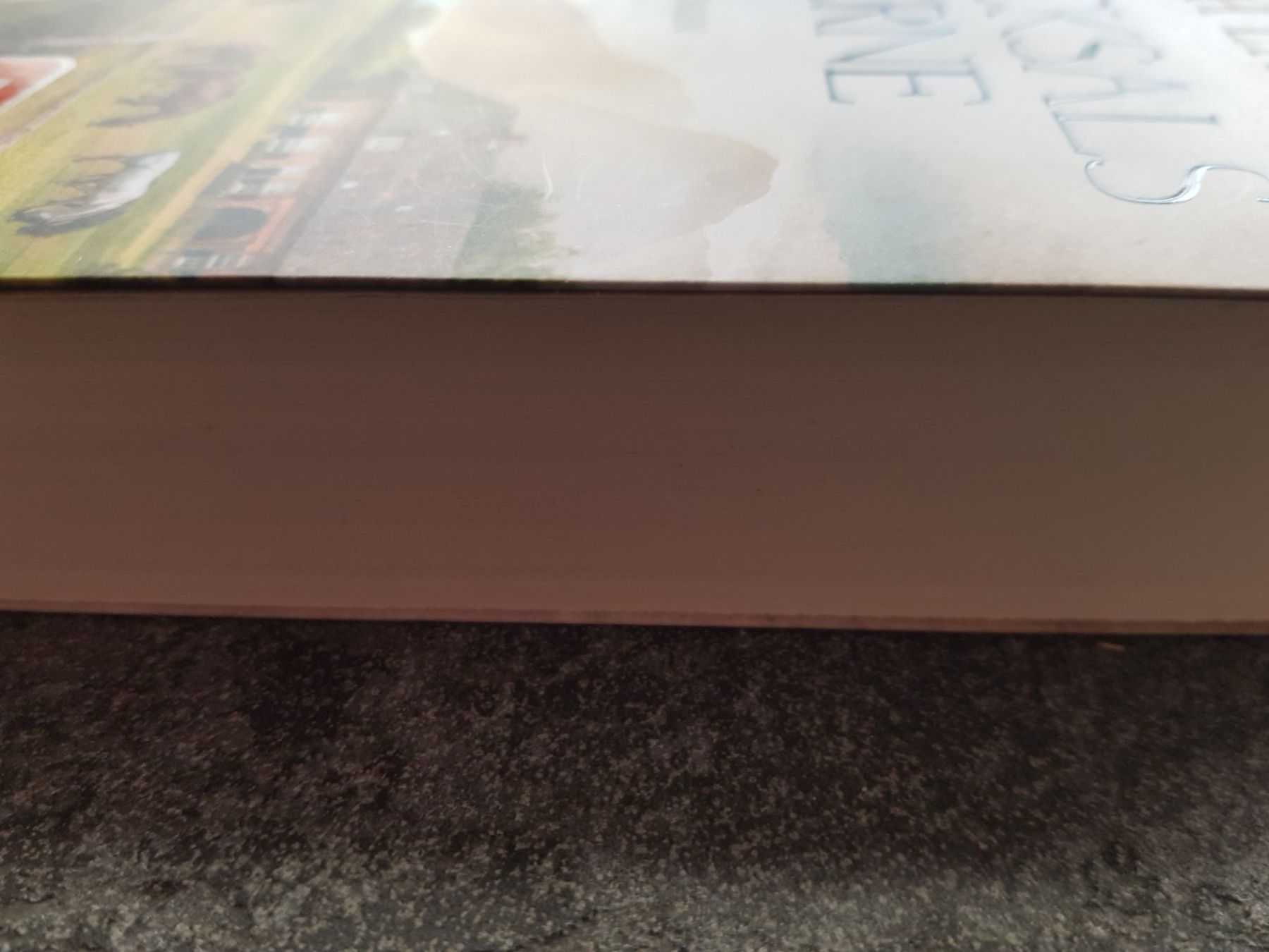 Bücher: SCHIKSALSSTERNE / Sarah Lark / Roman – Gebraucht aus Dietikon von marconi07 2