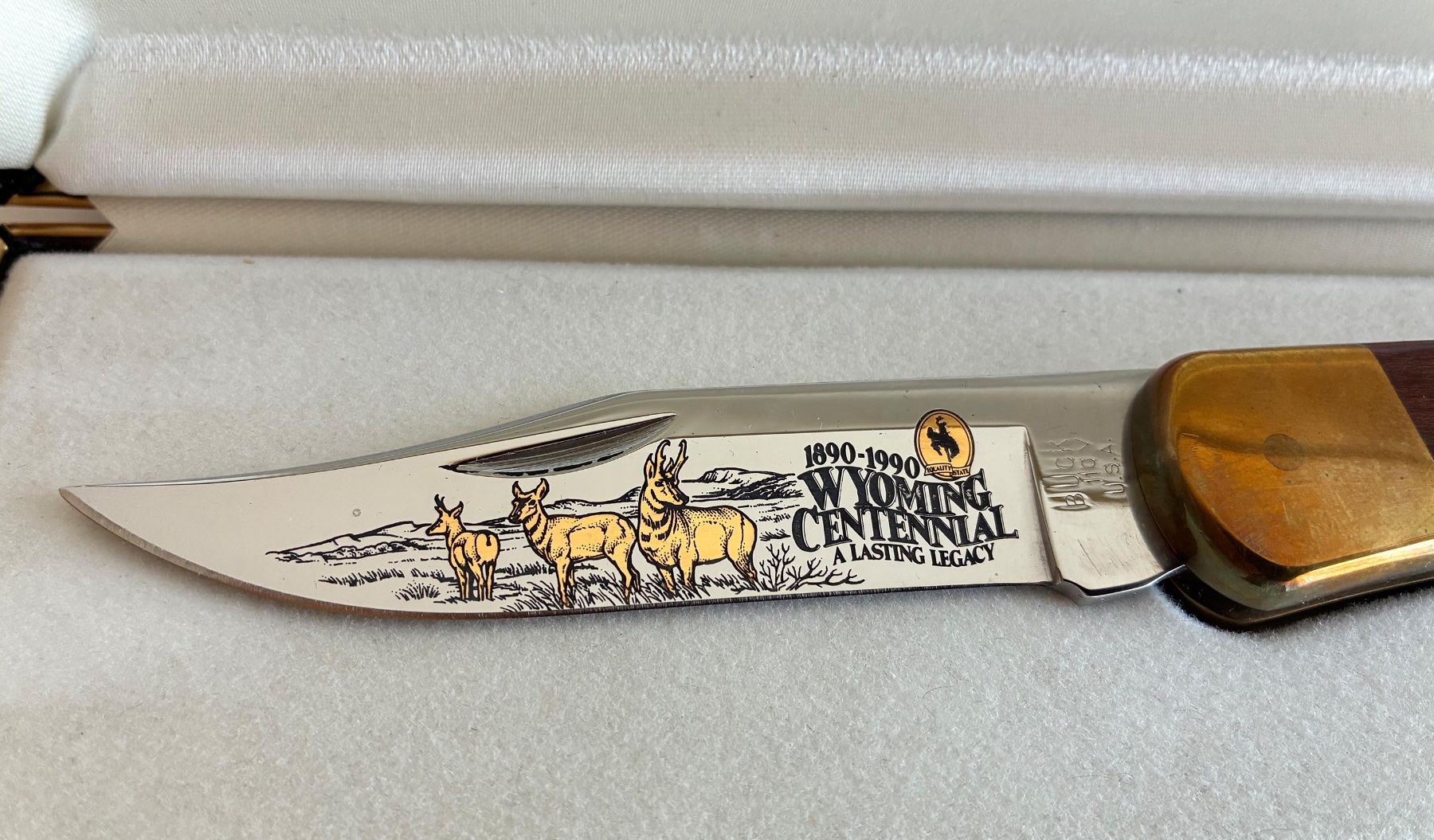 Buck Zubehör: BUCK MESSER USA – Neu und originalverpackt aus Bäretswil von robsonantik 1