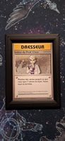 Indice du Prof. Chen 84/108 - Pokemon Evolutions FR