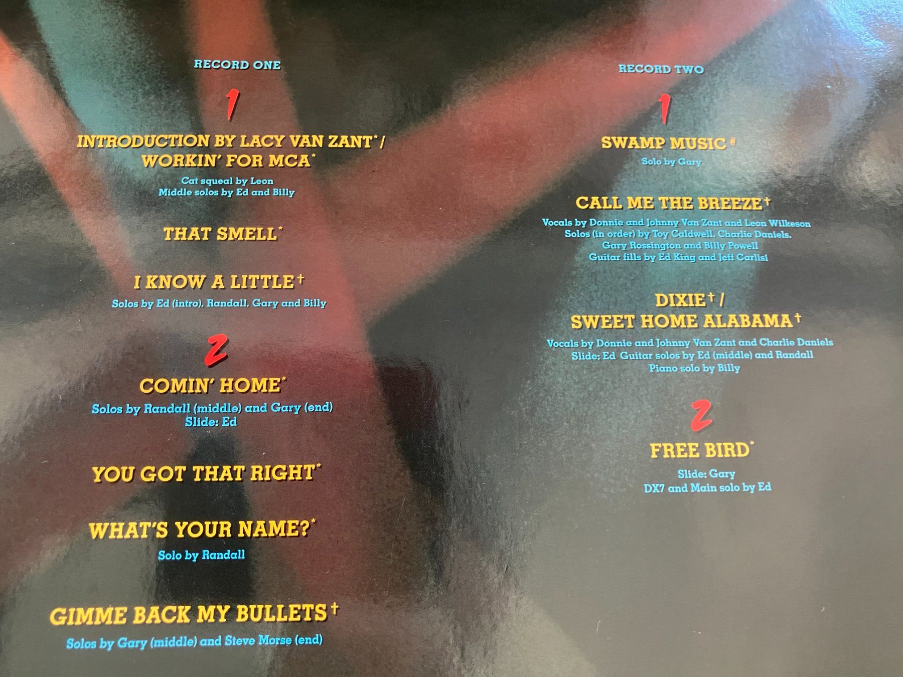 Dischi in vinile: Lynyrd Skynyrd – Usato da Aarwangen venduto da Jukebox3 3