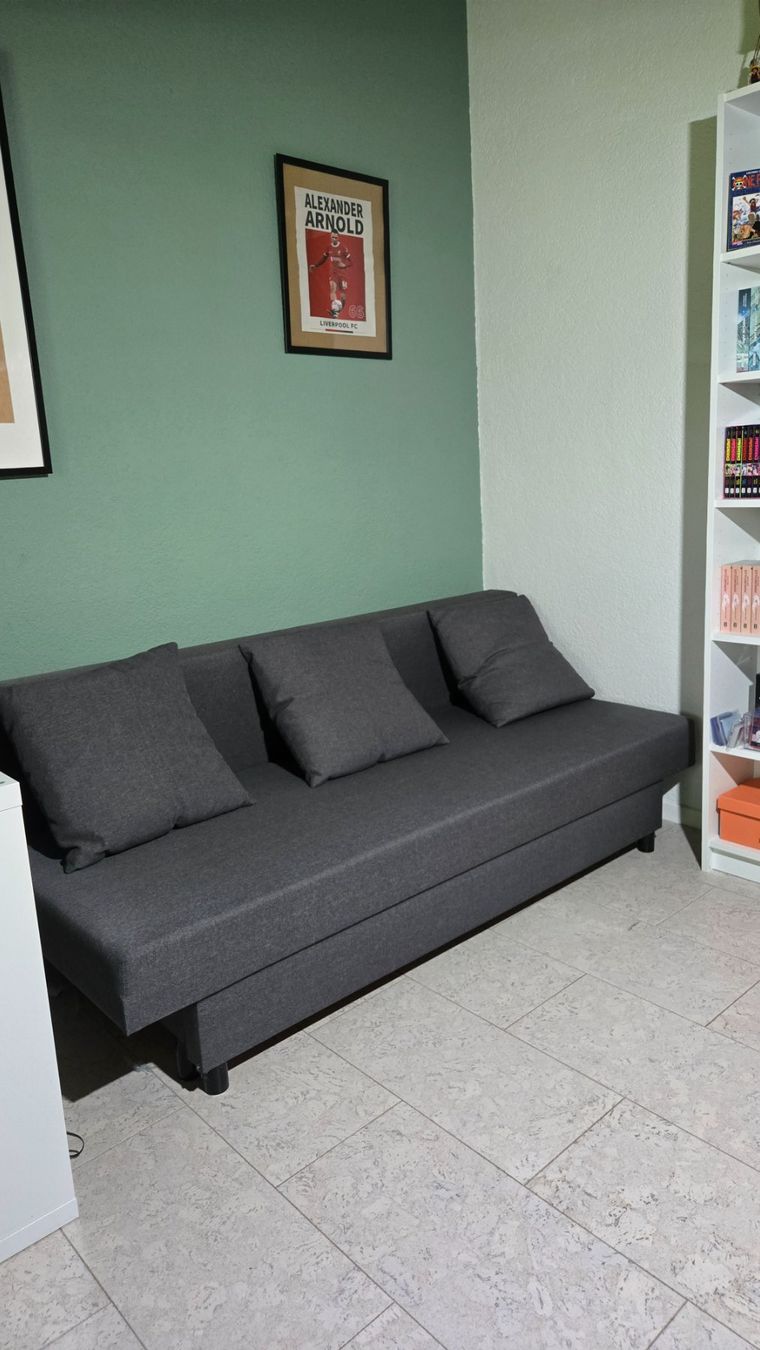 Ikea Divani: Sofa / Schlafsofa – Usato da Staffelbach venduto da Samuelson08 5