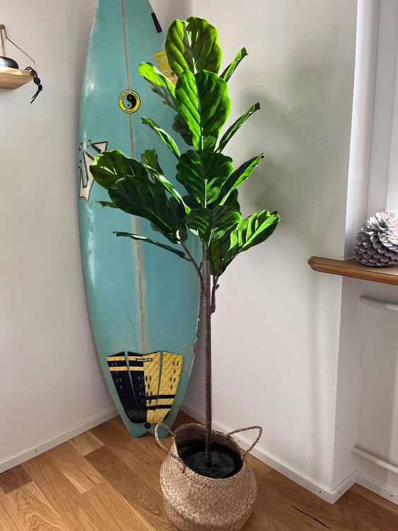 Homescapes Geigenfeige Künstlich – Ficus Lyrata Kunstpflanze 75 Cm Im Topf, Schwarz