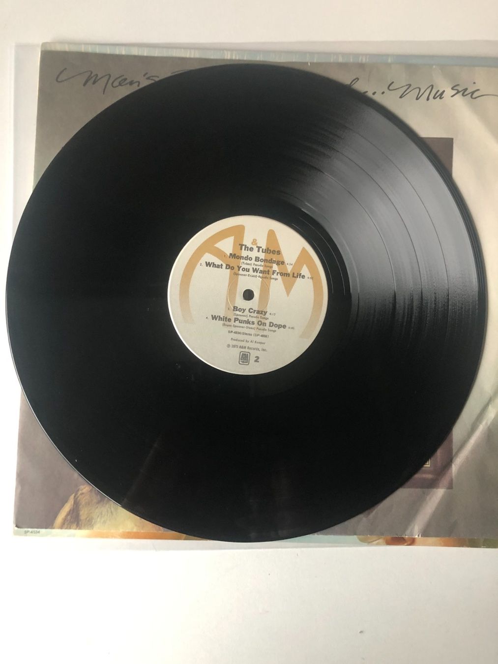 Dischi in vinile: The Tubes – Usato da Aarwangen venduto da Jukebox3 7