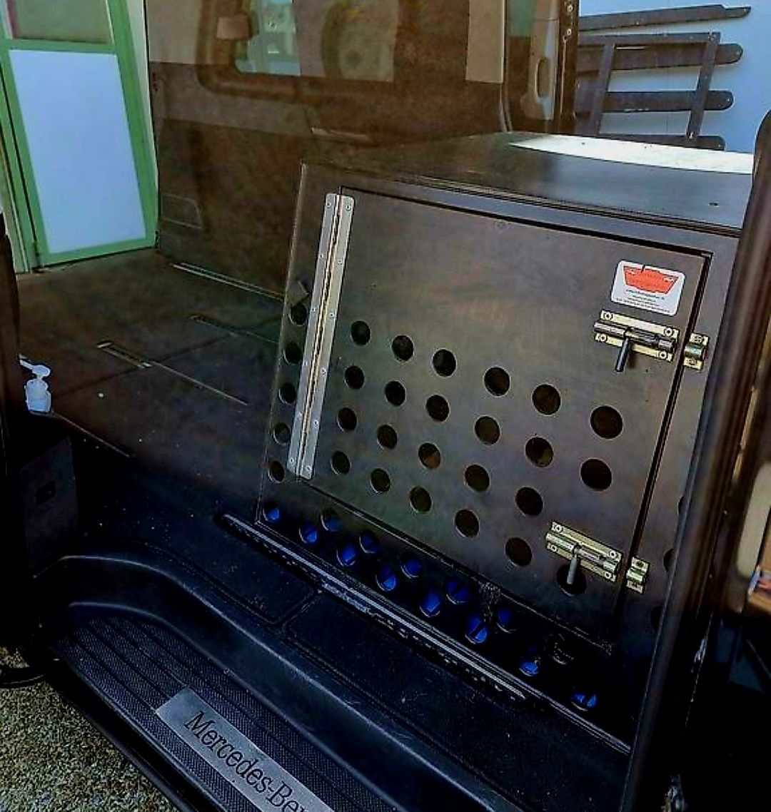 Gabbie, trasporto & Sicurezza: Grosse stabile Hundebox – Usato da Dietikon venduto da Wutho 1