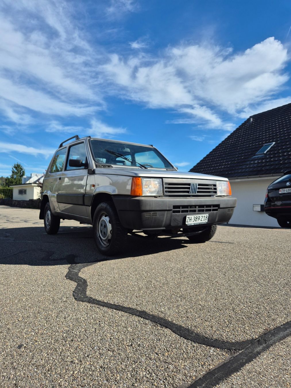 Fiat Automobili: FIAT Panda 4x4 1.1, ab CHF 1.- – Usato da Buchs ZH venduto da lukas_6708 1