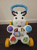 Neuwertiger Lauflernwagen von Fisher Price