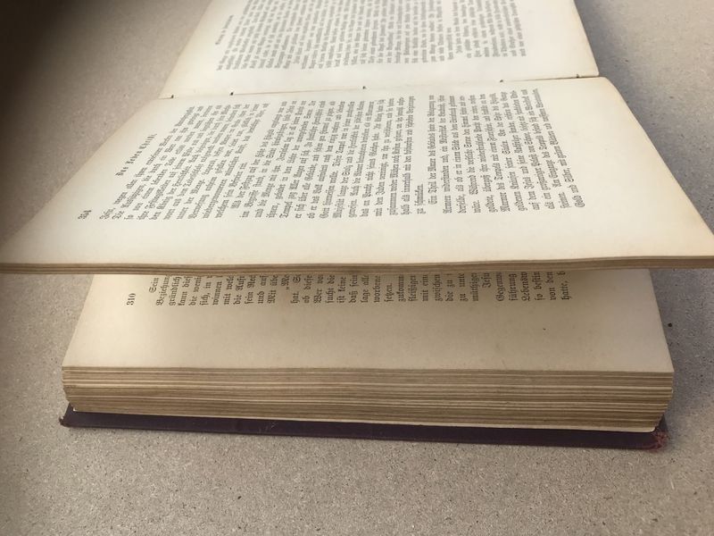 Libri: Das Leben Christi SEHR ANTIK 1887 – Usato da Bergdietikon venduto da book-4-you 4