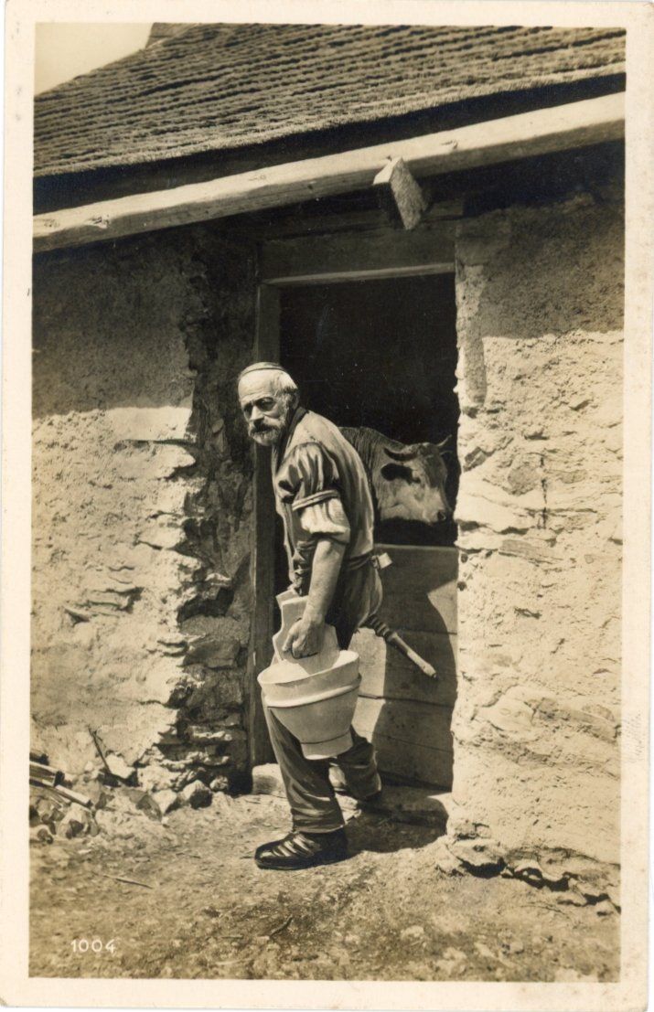 Cartes postales: Bern  BE   -    Milchbauer – D'occasion à Brig par Valcards54