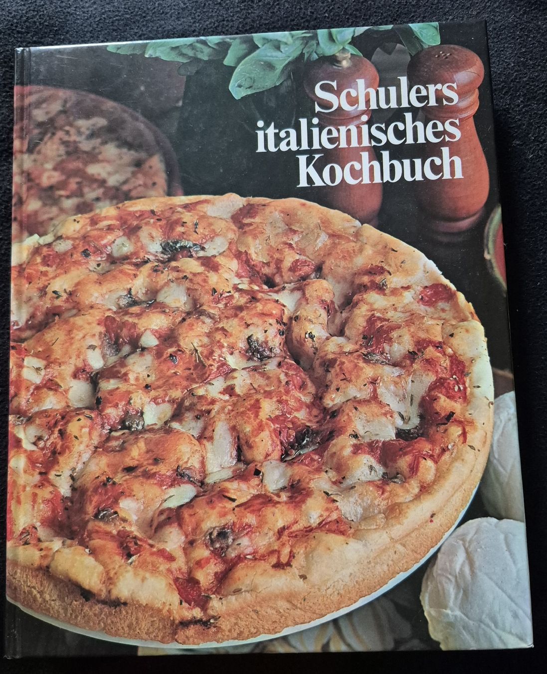 Libri: Kochbuch Italienisch Schuler – Usato da Adliswil venduto da cha_fq9f