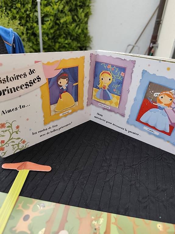 Libri: Mon petit théâtre animé  – Usato da Delémont venduto da emm_z2yb 2