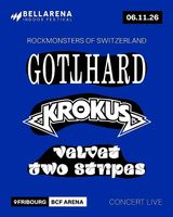 2 billets Bellarena / Rock Monsters / 06.11.2026