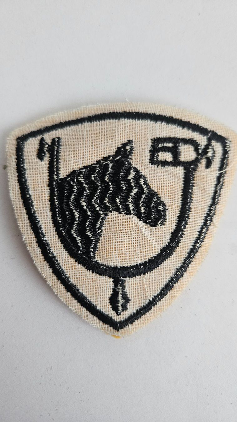 Placchette & Badge: US Army Patch – 14th Armored Cavalry Regiment – Usato da Zofingen venduto da Phil68 1