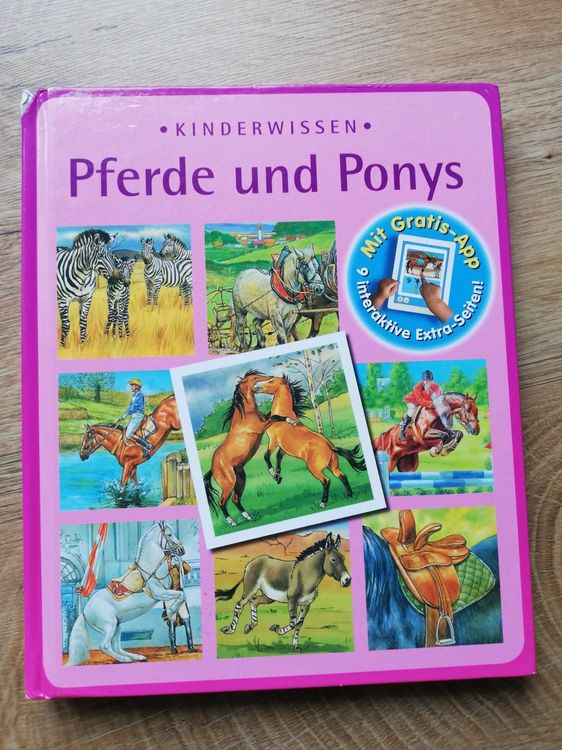 Kinderbuch Pony Kaufen auf Ricardo