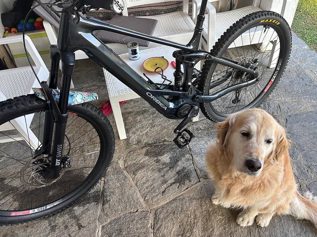 Vélos: Ebike Orbea Wild 2024  – D'occasion à Magliaso par luc_kyv8 2