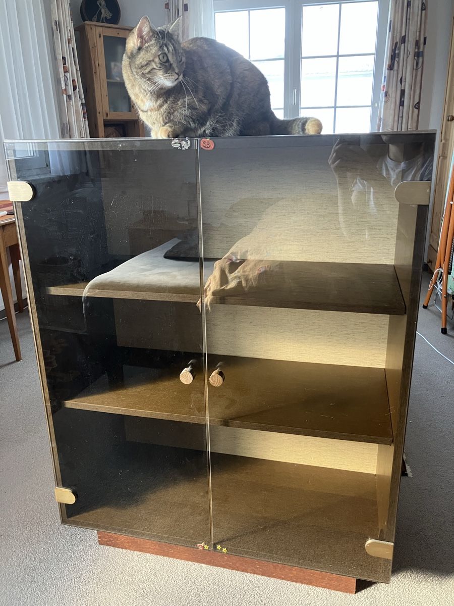 Vitrinen: Vitrine, braun – Gebraucht aus Horn von nat_97wq