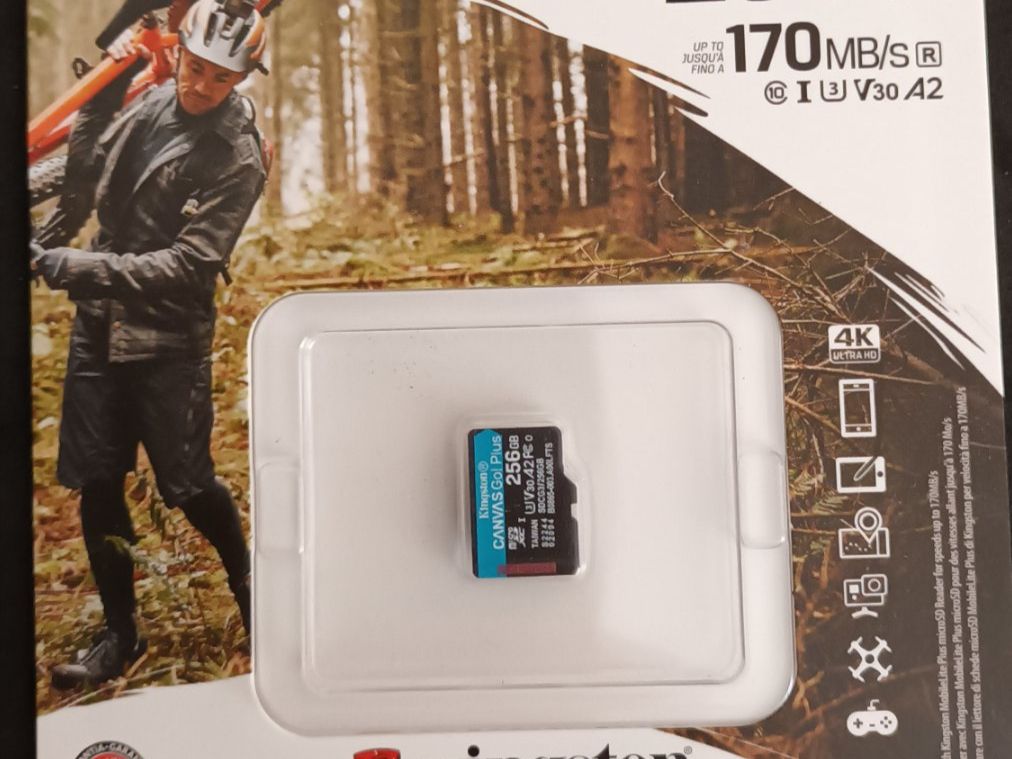 Kingston Speicherkarten: Kingston microSD 256GB (SDCG3-256GBSP) – Neu und originalverpackt aus Zürich von Tgreuti