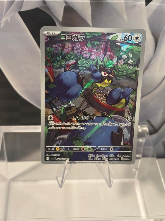 Pokémon Rookidee – SV2P 082/071 – AR (Japanisch) (Gebraucht) in St ...