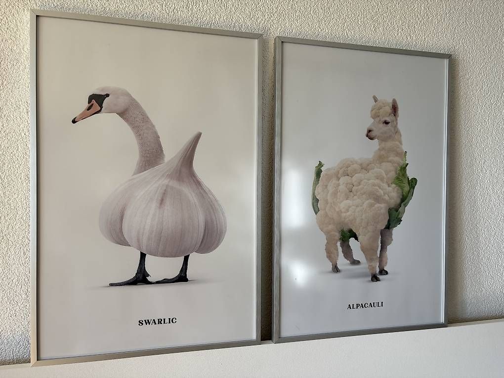 Foto & Immagini: 2 Bilder 40x60cm mit Rahmen – Usato da Detligen venduto da lor_gw8v