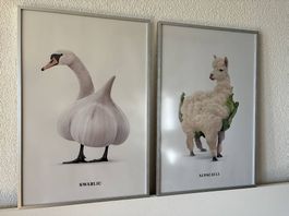 2 Bilder 40x60cm mit Rahmen