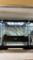 Terrariums Exo Terra 20x20x20 en parfait état, lot possible
