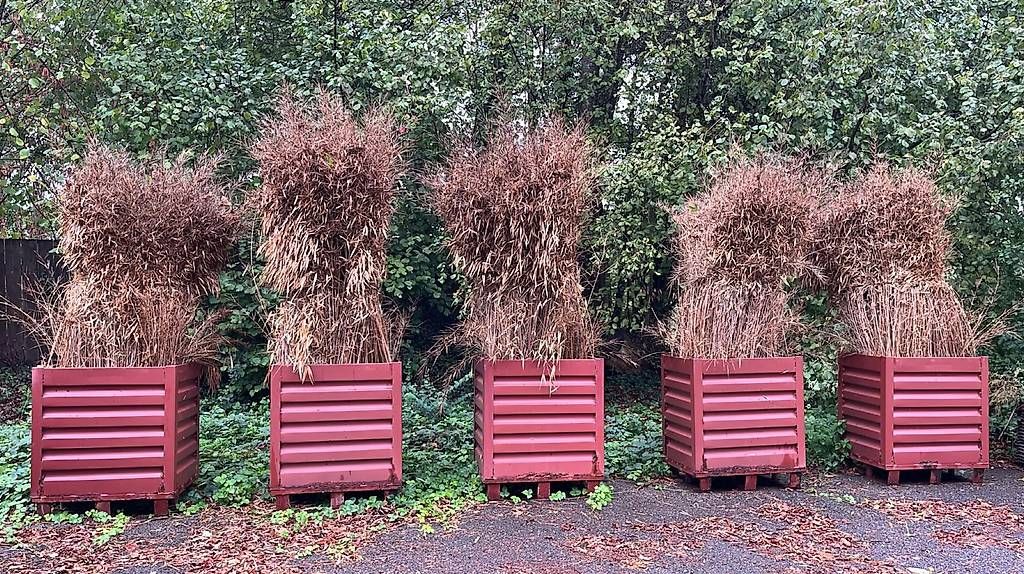Vasi per fiori: Blumentöpfe aus Metall – Usato da Oberstammheim venduto da dav_52hg