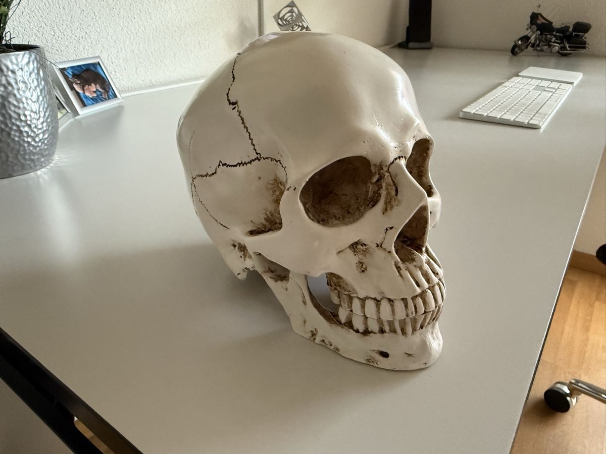 Figurines: Totenkopf / Schädel – Neuf (Voir description) à Watt par Segi75