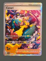 Canari 291/217 - ASC - ENG