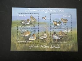Ducks Enten Irland 1996 Block Erstag (A918)