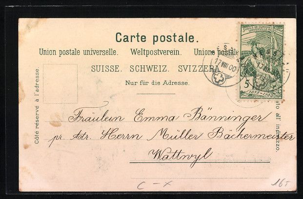 Cartoline postali: Litho Nesslau, Totalansicht, Vorderer Gi – Usato da Berlin venduto da bartko-reher 1