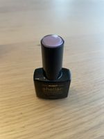 Jolifin Laveni Shellac