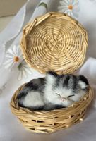 Katze im körbli siehe Foto Dekoration